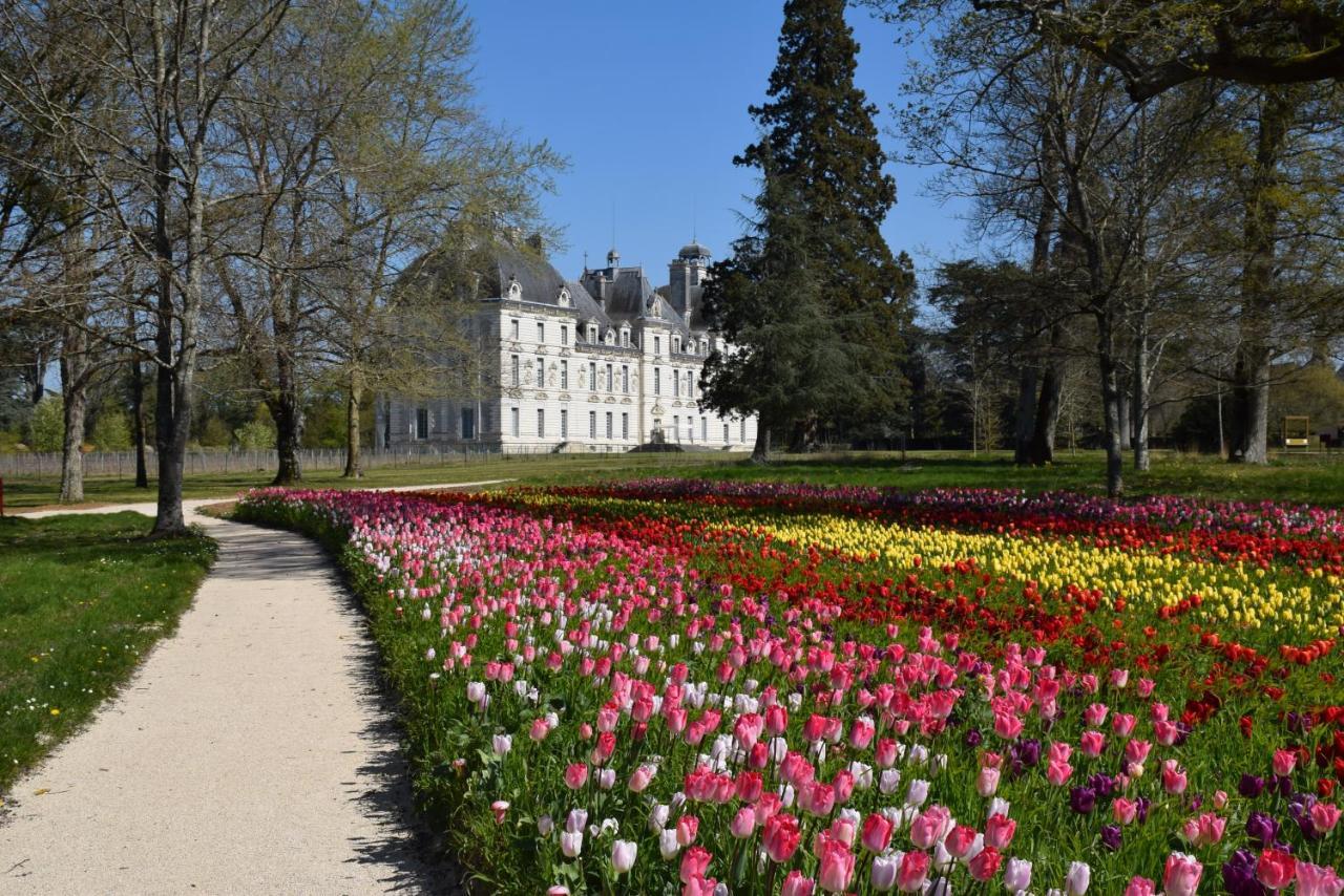 Logis Hotel Du Cygne Bracieux Exteriér fotografie
